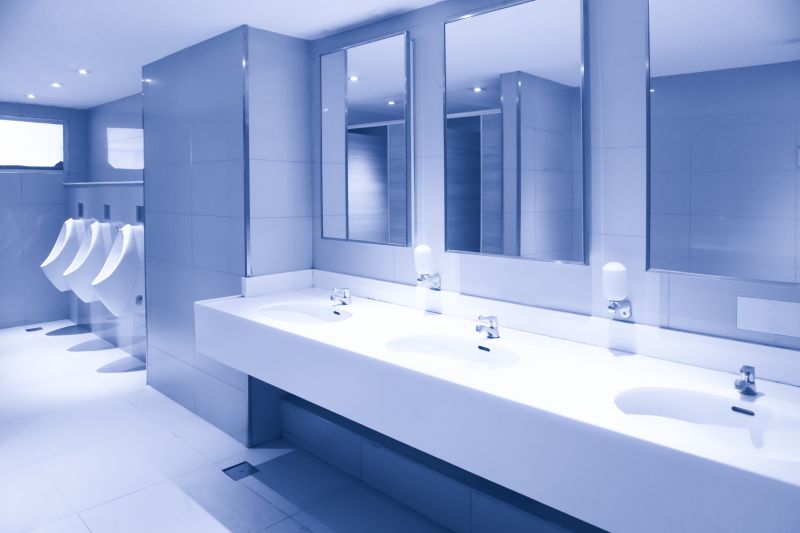Restroom Renovation in Denver County, CO